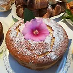 La Chiocciola 卡斯泰卢佐