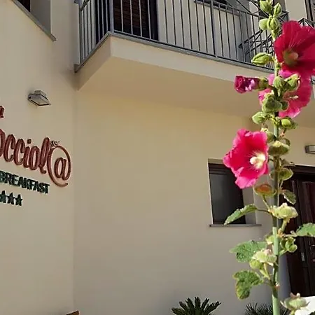 La Chiocciola فندق مبيت وإفطار كاستيلوزو