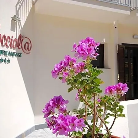 Отель типа 