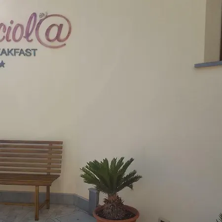 La Chiocciola Bed & Breakfast *
